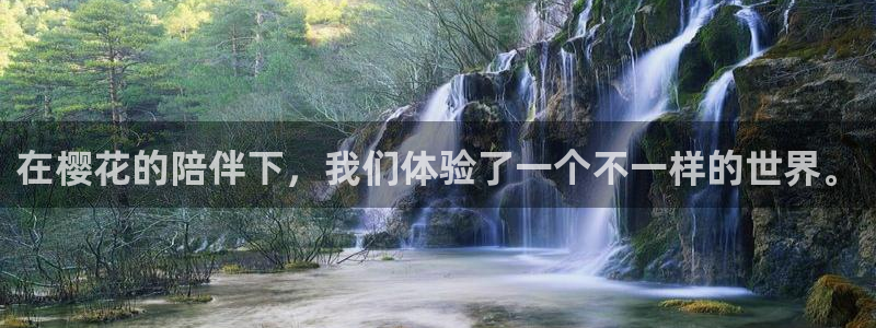 布丁动漫